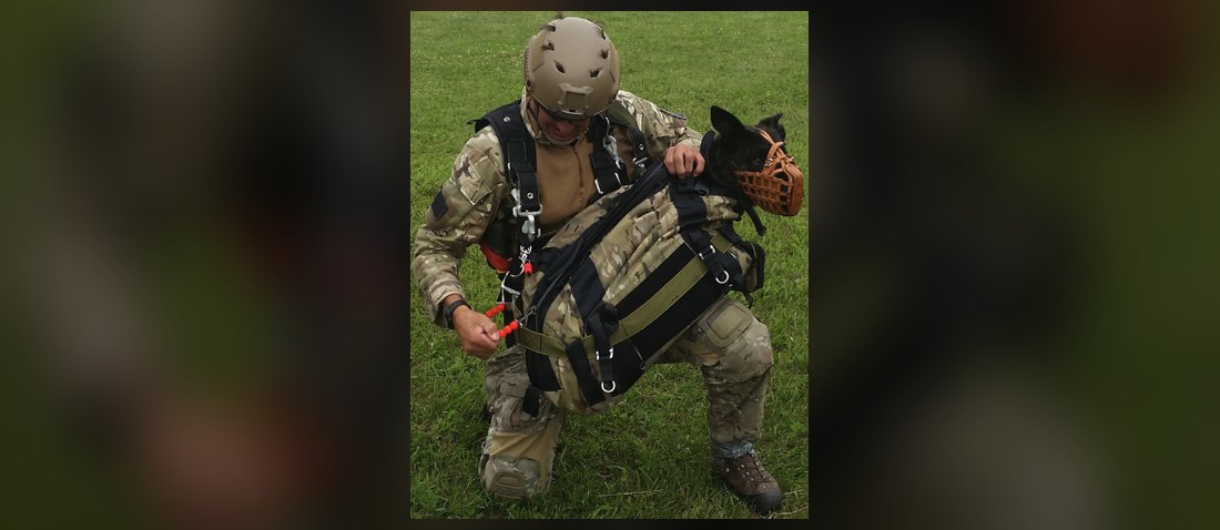 K9 jump bag fitted to a military working dog by its handler before a tandem insertion